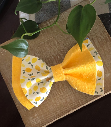 Lemon Color Block Bow